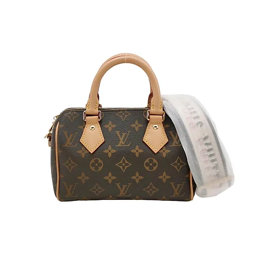 Louis Vuitton Speedy 20 Monogram