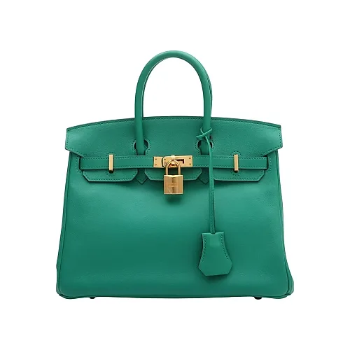 2017 Birkin 25 Mint Handbag